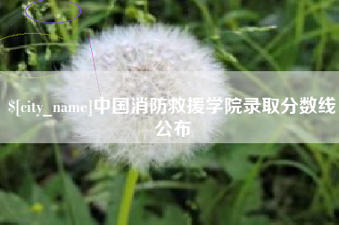 马鞍山中国消防救援学院录取分数线公布
