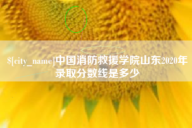 马鞍山中国消防救援学院山东2020年录取分数线是多少