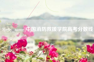 马鞍山中国消防救援学院高考分数线