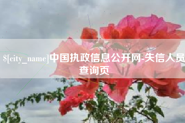马鞍山中国执政信息公开网-失信人员查询页