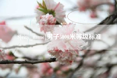 马鞍山男子5000米等级标准