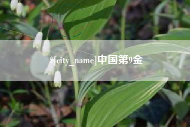 马鞍山中国第9金