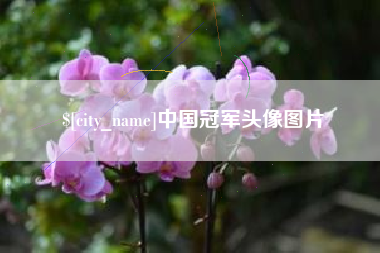 马鞍山中国冠军头像图片