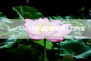 马鞍山中国消防网官网入口网址