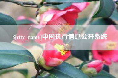 马鞍山中国执行信息公开系统