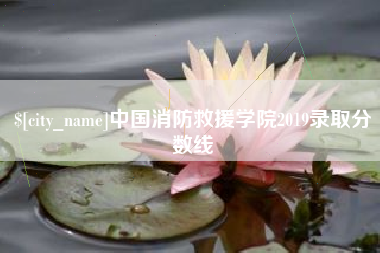 马鞍山中国消防救援学院2019录取分数线