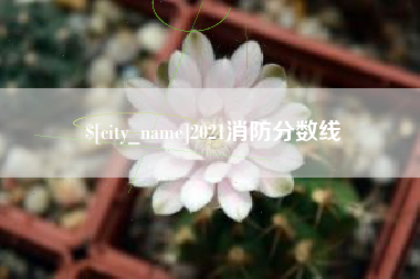 马鞍山2021消防分数线