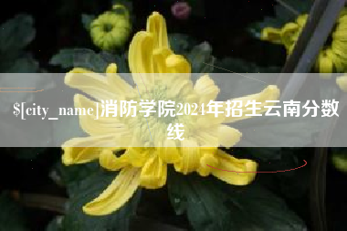 马鞍山消防学院2024年招生云南分数线
