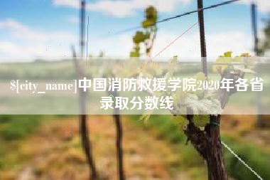 马鞍山中国消防救援学院2020年各省录取分数线