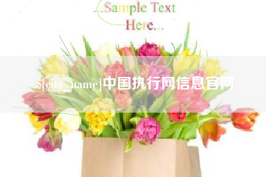 马鞍山中国执行网信息官网