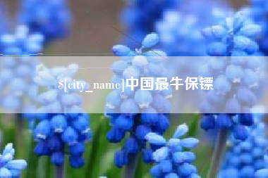 马鞍山中国最牛保镖
