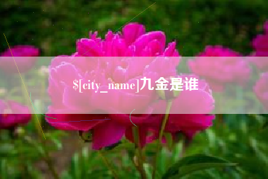 马鞍山九金是谁