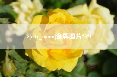 马鞍山金牌图片2021
