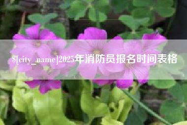 马鞍山2025年消防员报名时间表格