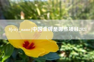 马鞍山中国金牌是哪些项目2021