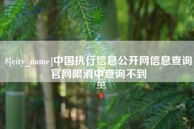 马鞍山中国执行信息公开网信息查询官网限消中查询不到