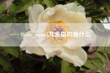 马鞍山九金指的是什么