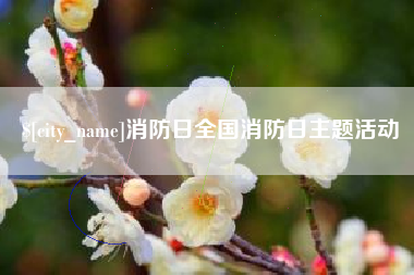 马鞍山消防日全国消防日主题活动