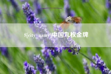 马鞍山中国九枚金牌