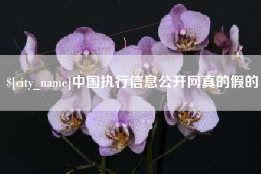 马鞍山中国执行信息公开网真的假的