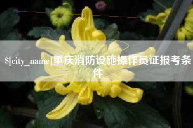 马鞍山重庆消防设施操作员证报考条件