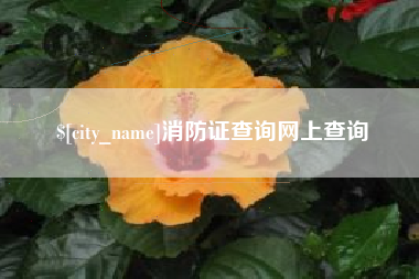 马鞍山消防证查询网上查询