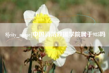 马鞍山中国消防救援学院属于985吗