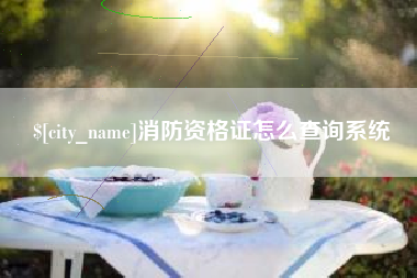 马鞍山消防资格证怎么查询系统
