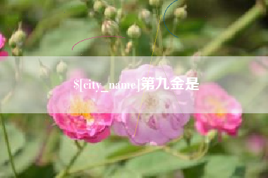 马鞍山第九金是