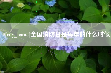 马鞍山全国消防日是每年的什么时候