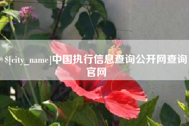 马鞍山中国执行信息查询公开网查询官网