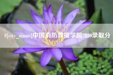 马鞍山中国消防救援学院2020录取分