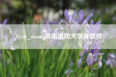 马鞍山河南消防大学分数线