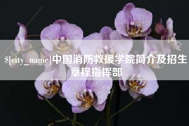 马鞍山中国消防救援学院简介及招生章程指挥部