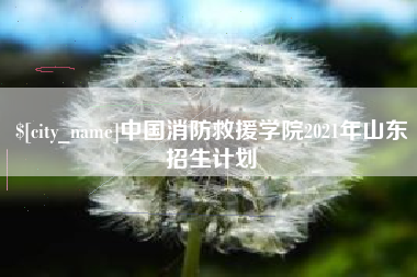 马鞍山中国消防救援学院2021年山东招生计划