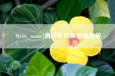 马鞍山消防证初级查询系统
