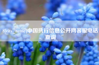 马鞍山中国执行信息公开网客服电话查询
