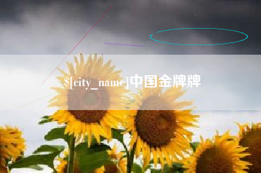 马鞍山中国金牌牌
