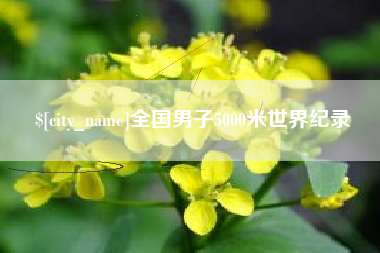 马鞍山全国男子5000米世界纪录