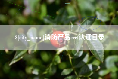 马鞍山消防产品cccf认证目录