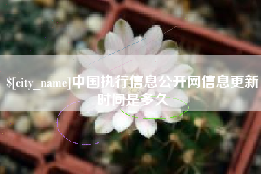 马鞍山中国执行信息公开网信息更新时间是多久