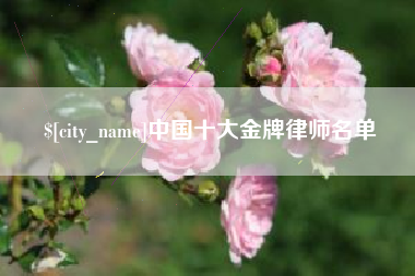 马鞍山中国十大金牌律师名单