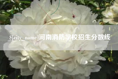 马鞍山河南消防学校招生分数线