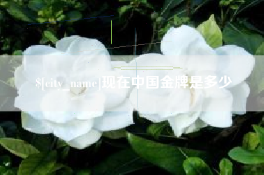马鞍山现在中国金牌是多少