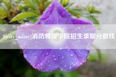 马鞍山消防救援学院招生录取分数线