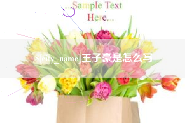 马鞍山王子豪是怎么写