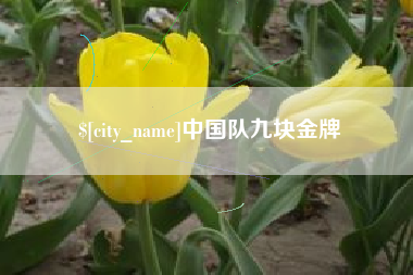 马鞍山中国队九块金牌
