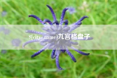 马鞍山九宫格盘子