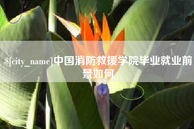 马鞍山中国消防救援学院毕业就业前景如何