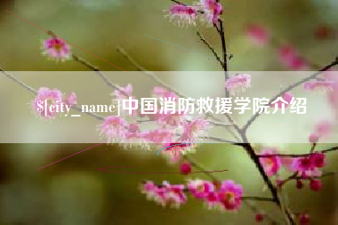 马鞍山中国消防救援学院介绍